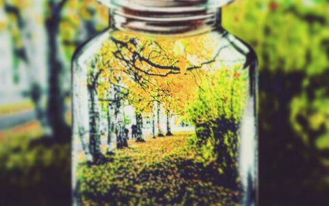 Фото дня: воспоминания о золотой осени в Сыктывкаре через призму