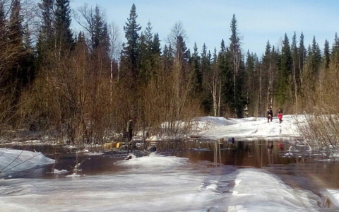 В деле о гибели семерых пассажиров вездехода, который утонул в Коми, нашли нарушения