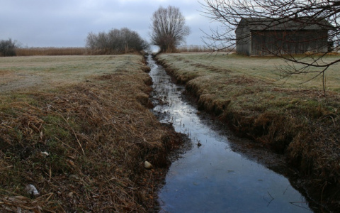 Следователи прокомментировали смерть сыктывкарца, которого нашли в канаве