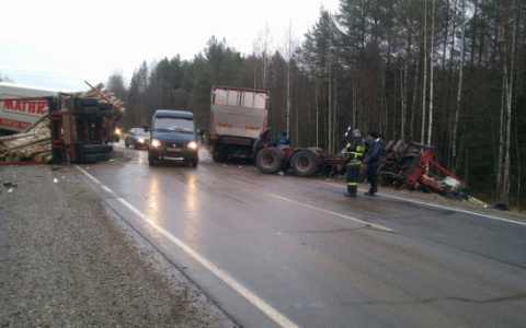 Появились подробности смертельного ДТП с лесовозом и фурой в Коми
