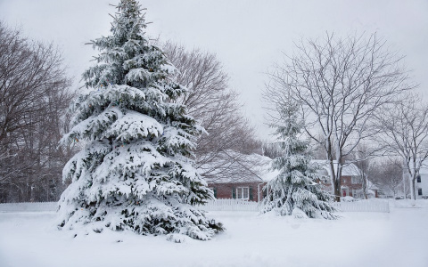 Синоптики предсказывают, что в ноябре в Коми придут лютые морозы