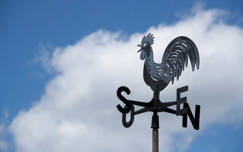 Погода в Сыктывкаре на 5 ноября: ветер сменит направление