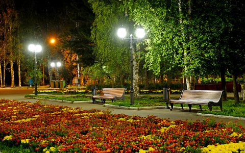 В самом центре Сыктывкара появится новый арт-объект