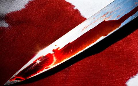 Житель Коми заколол своего знакомого ножом за демонстрацию боевых приемов