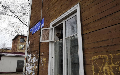 Фото дня: приветливый сыктывкарский котик