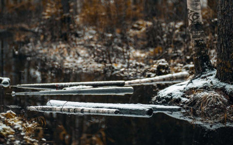 Фото дня: тишина и спокойствие в Сыктывкаре