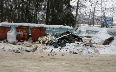 Управкомпании Коми, которые требуют платить за вывоз мусора, будут штрафовать