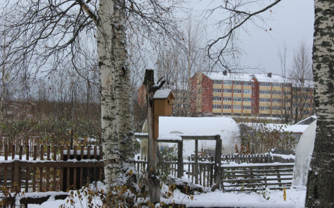 Зима наступила: синоптики рассказали, какая погода будет в Сыктывкаре в выходные