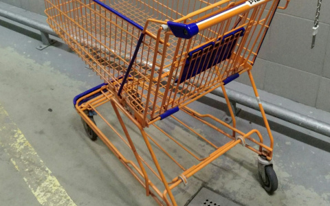 Бесплатные шорты, точилка-бегемот и парфюм из прошлого века: пять самых необычных объявлений в Коми