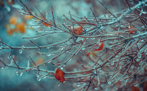 Погода в Сыктывкаре на 12 ноября: холодная ночь и морозный день