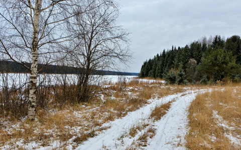 Погода в Сыктывкаре на 13 ноября: потепление и слабый снег