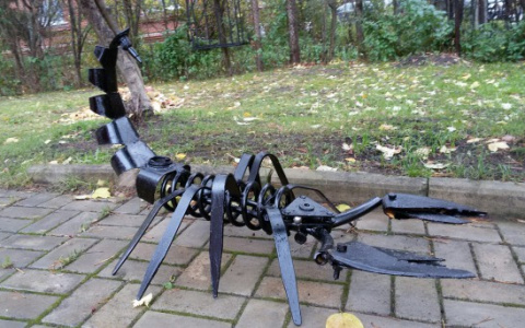 Сыктывкарец поселил у себя на участке железного скорпиона