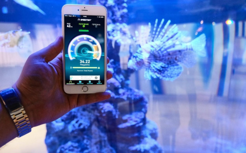 Более шести лет разговоров: итоги летней активности бизнес-клиентов Tele2