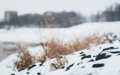 Фото дня: заснеженная набережная в Сыктывкаре