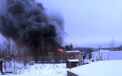 В Коми полыхает производственный цех, на месте работают пожарные (фото)