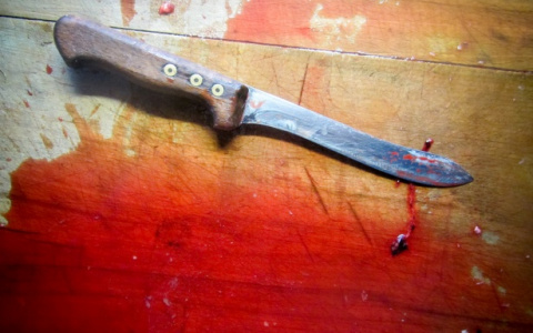 Житель Коми, который жестоко зарезал девушку и сжег квартиру, получит 15 лет