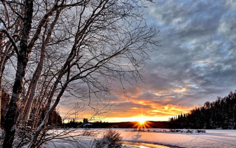 Погода в Сыктывкаре на 22 ноября: морозная свежесть и слабый снегопад