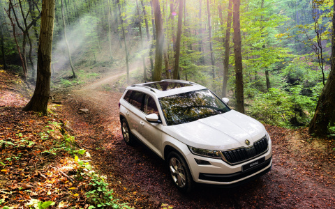 Подарите своей семье надежность и комфорт с сыктывкарским дилером ŠKODA