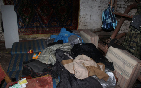 В Сыктывкаре бомжи отвоевывают подвал у жильцов дома с помощью мусора, кошек и фекалий