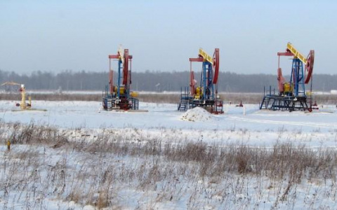 Жительница Коми украла у предприятия миллион тонн нефти