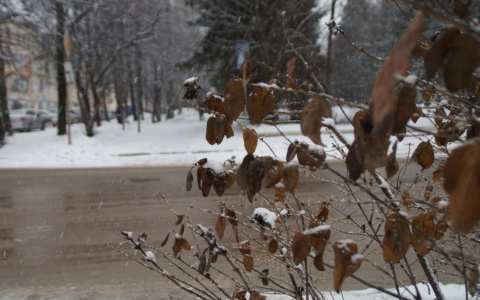Мощные снегопады и жесткий ветер: синоптики дали прогноз на выходные в Сыктывкаре