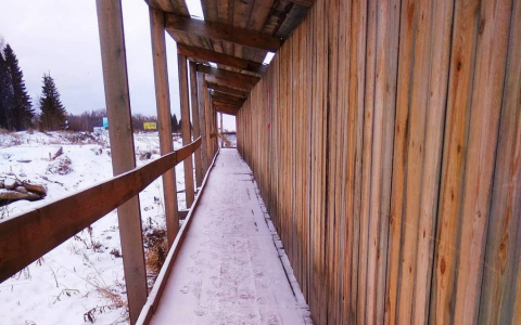 Фото дня: размышления о жизни в Сыктывкаре