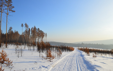 Погода в Сыктывкаре на 26 ноября: вполне тепло и небольшой снег