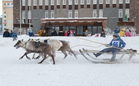 Город в Коми отпраздновал свой юбилей гонками на оленях (фото)