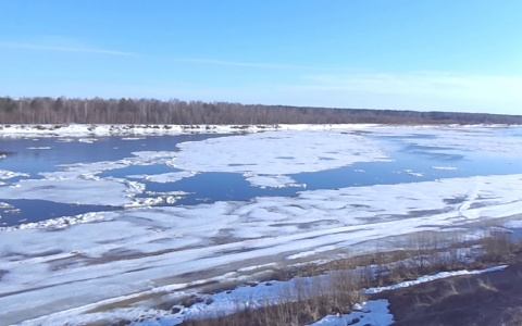 Под Сыктывкаром люди переходят реку по узкой тропинке длиной в полкилометра