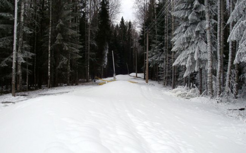 Погода в Сыктывкаре на 27 ноября: небольшое похолодание и без осадков