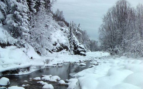 Погода в Сыктывкаре на 29 ноября: зимние морозы и солнечное небо