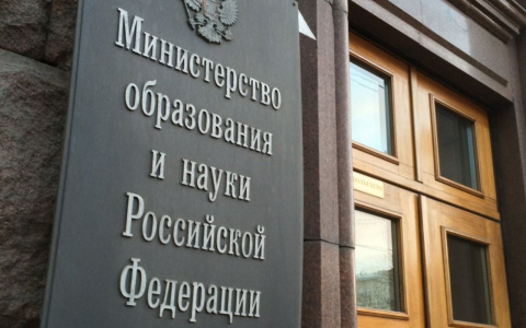 В Минобразе прокомментировали слова сыктывкарки о детдомовце-воре