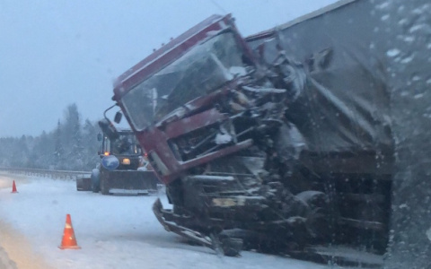 Под Сыктывкаром вдребезги разлетелась грузовая фура (фото, видео)