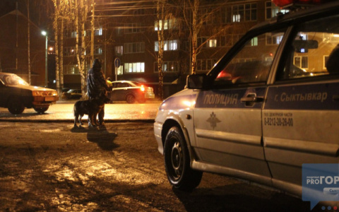 Под Сыктывкаром столкнулись две иномарки, пострадали три человека