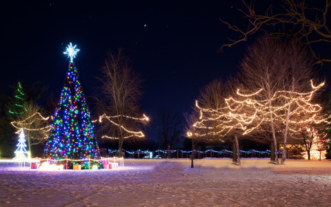 В Коми людям пришлось самим собирать деньги на елку для родного села