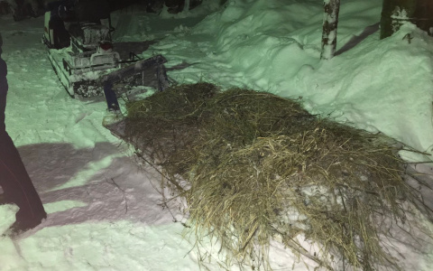 В Коми сильно пострадал пассажир саней, которые отцепились от снегохода