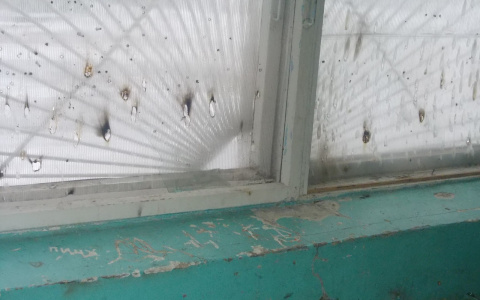 Отчаявшаяся сыктывкарка живет в «коммунальном аду» (фото)