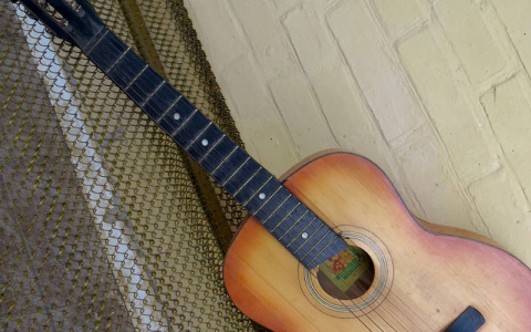 Житель Коми сыграл матери на гитаре, а потом разбил инструмент ей об голову