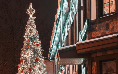 Фото дня: новогодняя елка у «мельницы» в Сыктывкаре