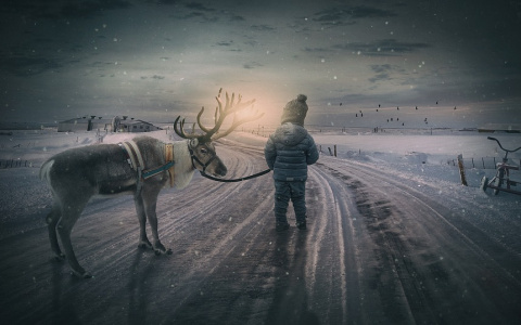 Письмо Деду Морозу: рассказ 7-летнего мальчика с сахарным диабетом из Сыктывкара