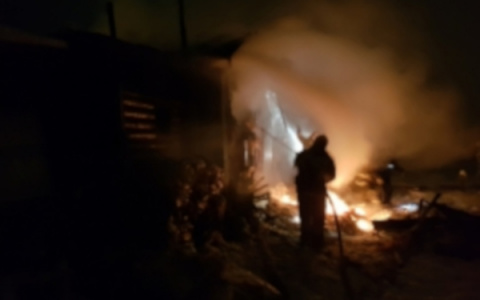 В Коми пожар в одноэтажном доме унес жизни двух человек