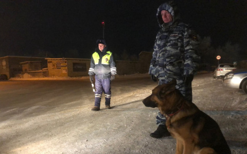 В Сыктывкаре инспекторы ГИБДД стреляли по «Газели», чтобы остановить пьяного водителя