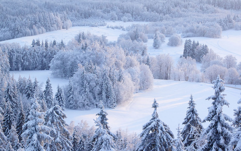 Погода в Сыктывкаре на 26 декабря: стабильно прохладно и немного ветрено