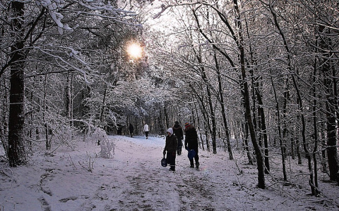 В Минздраве Коми рассказали, как избежать обморожения во время праздников