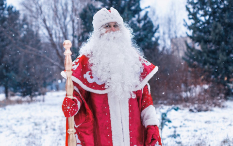 Сыктывкарский Дед Мороз рассказал, сколько он зарабатывает под Новый год