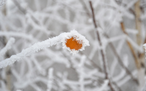МЧС предупреждает: в Коми ожидается опасное природное явление