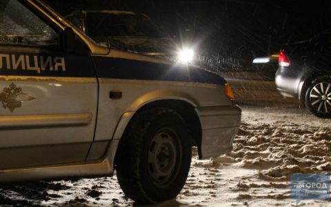 Полиция поймала сыктывкарцев, которые украли с частных участков мангал, печь и трубы