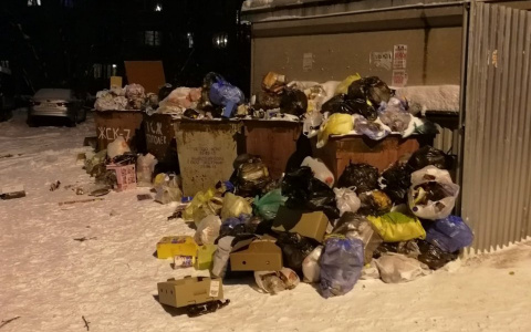 В Сыктывкаре жильцы домов устроили зловонную свалку из-за нехватки мусорных контейнеров