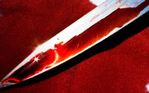 В Коми произошло зверское двойное убийство, подозреваемого уже нашли