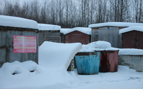 Сыктывкарцы платят в два раза больше за вывоз мусора, но его никто не убирает
